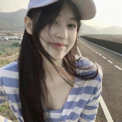 夏日的玫瑰